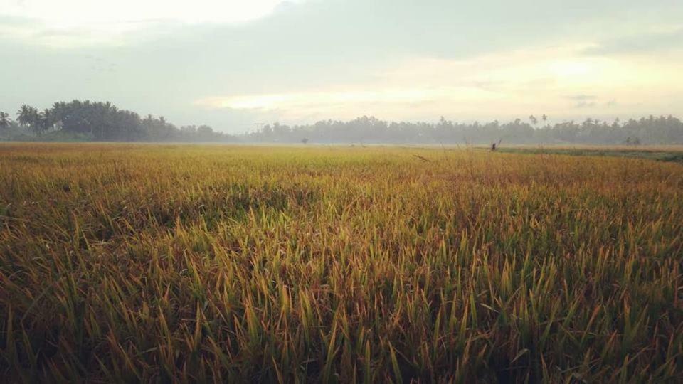 Seri Pengkalan Bachok