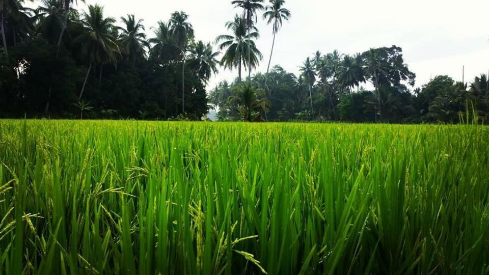 Homestay Seri Pengkalan Bachok